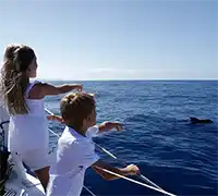 Miniatura 34 - Avistamiento de Cetáceos en Catamarán a Vela