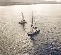 Miniatura 37 - Avistamiento de Cetáceos en Catamarán a Vela
