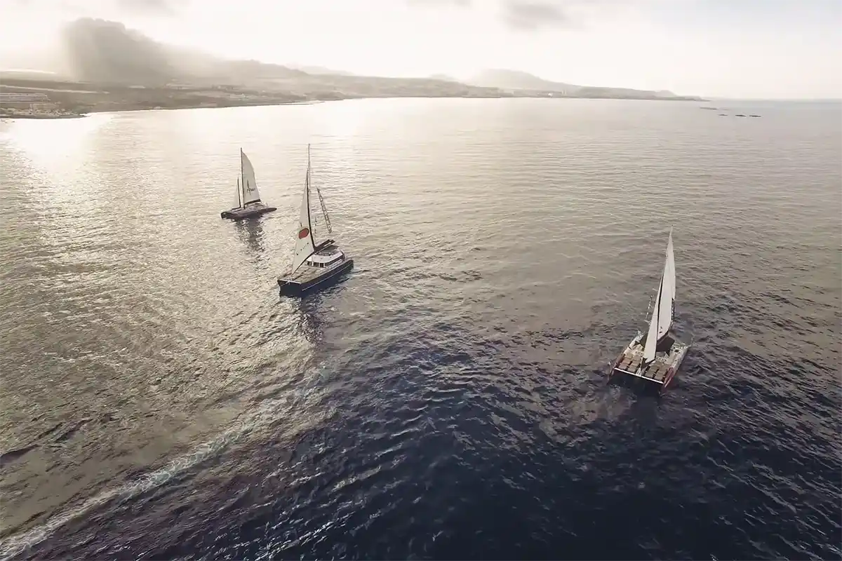 Avistamiento de Cetáceos en Catamarán a Vela - Foto 37