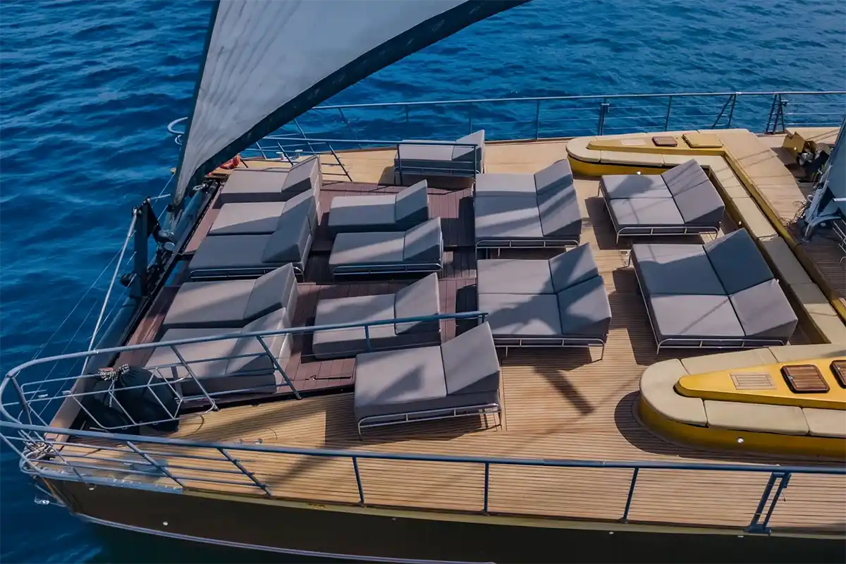 Avistamiento de Cetáceos en Catamarán a Vela - Foto 4