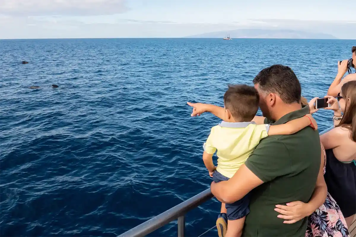 Avistamiento de Cetáceos en Catamarán a Vela - Foto 6