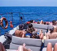 Miniatura 7 - Avistamiento de Cetáceos en Catamarán a Vela
