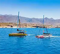 Miniatura 9 - Avistamiento de Cetáceos en Catamarán a Vela