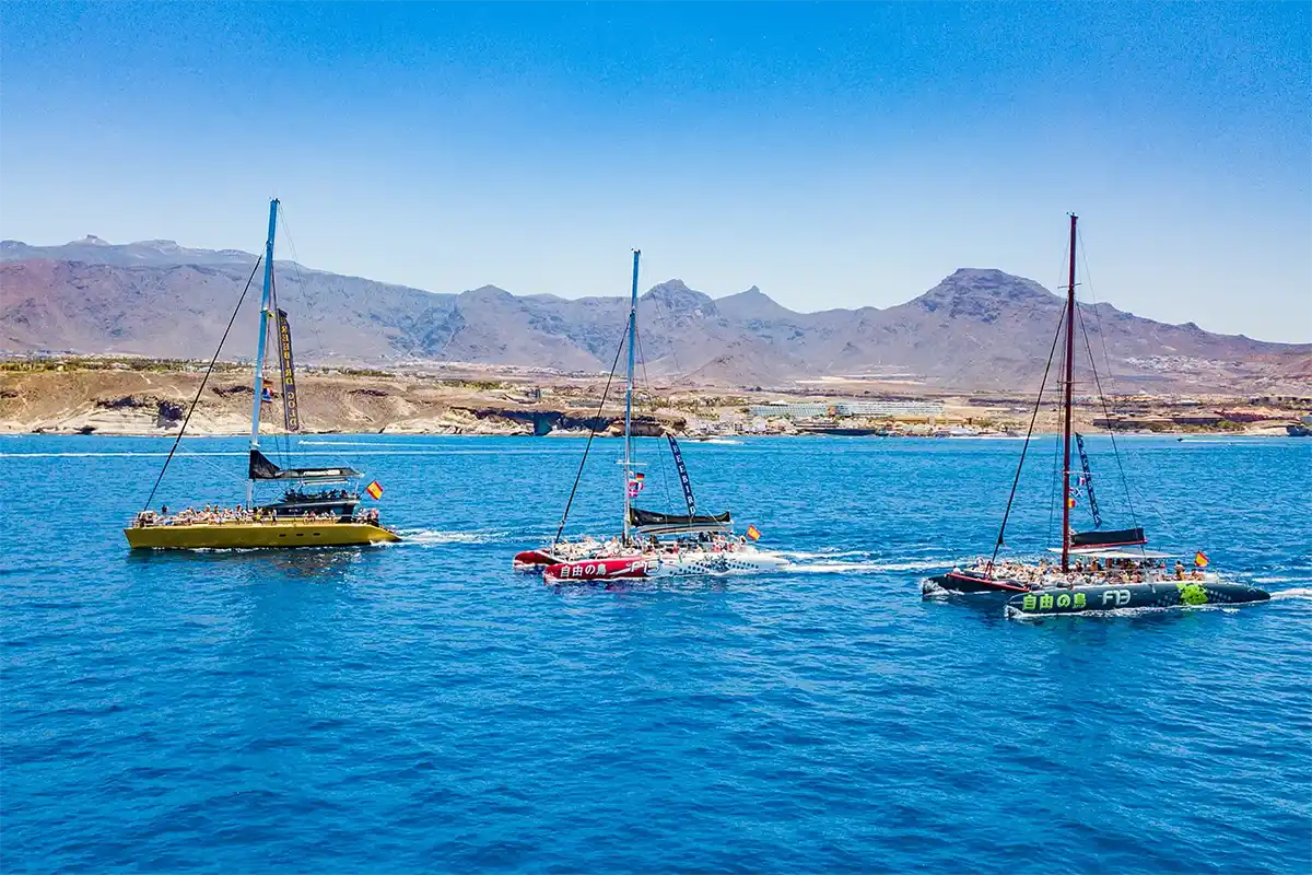 Avistamiento de Cetáceos en Catamarán a Vela - Foto 9