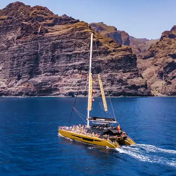 Catamarán a Vela