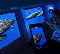 Miniature 1 - Vision Sous-Marine à Costa Adeje (3 Heures)
