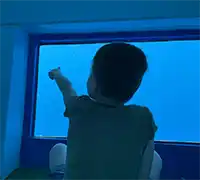 Miniature 10 - Vision Sous-Marine à Costa Adeje (3 Heures)