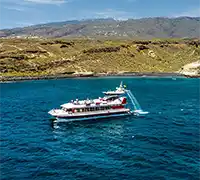 Miniature 3 - Vision Sous-Marine à Costa Adeje (3 Heures)