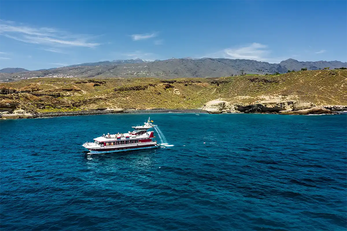 Vision Sous-Marine à Costa Adeje (3 Heures) - Foto 3