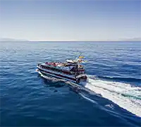 Miniature 5 - Vision Sous-Marine à Costa Adeje (3 Heures)