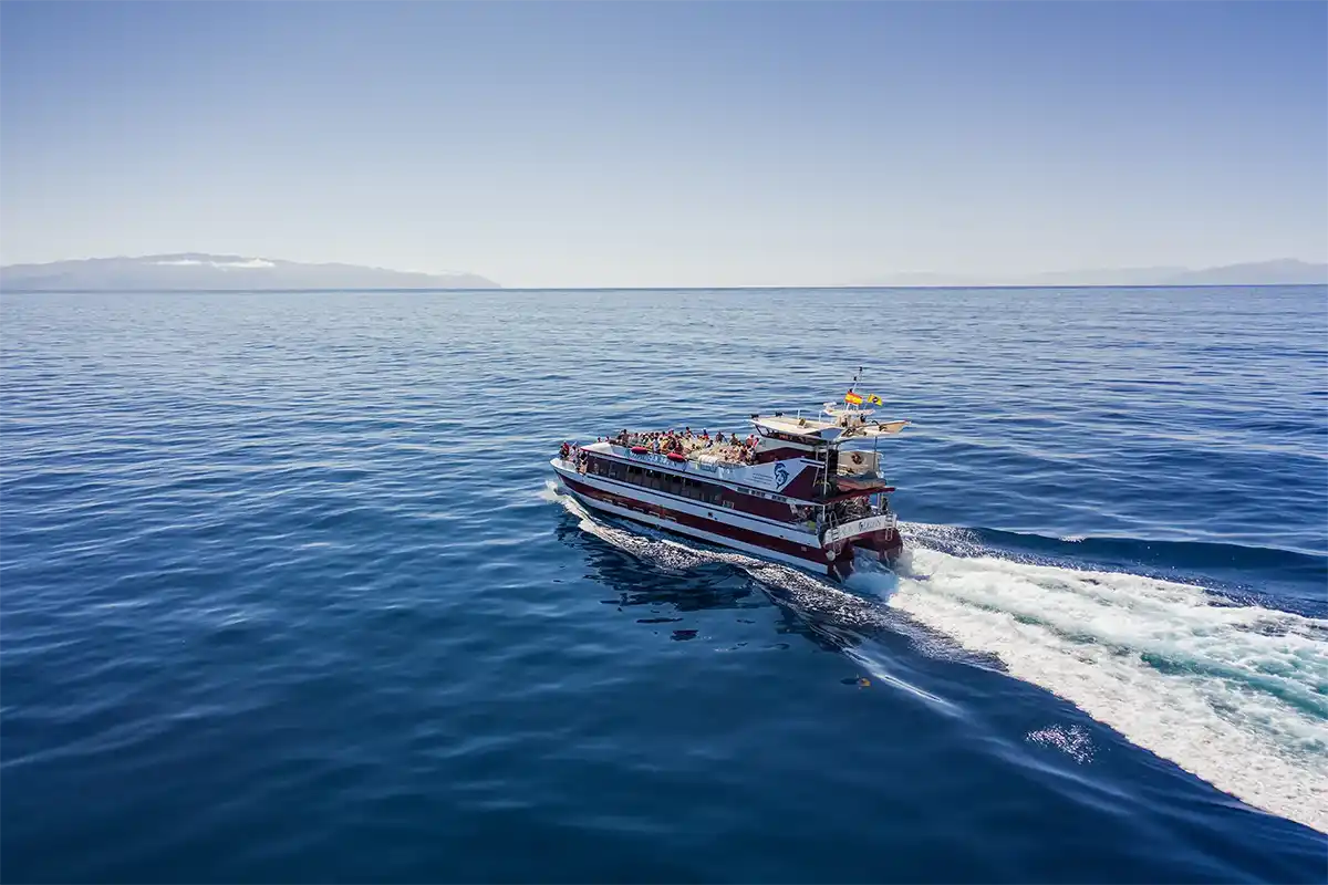 Vision Sous-Marine à Costa Adeje (3 Heures) - Foto 5