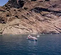 Miniatura 11 - Visión Submarina a Los&nbsp;Gigantes y Masca (4,5&nbsp;Horas)