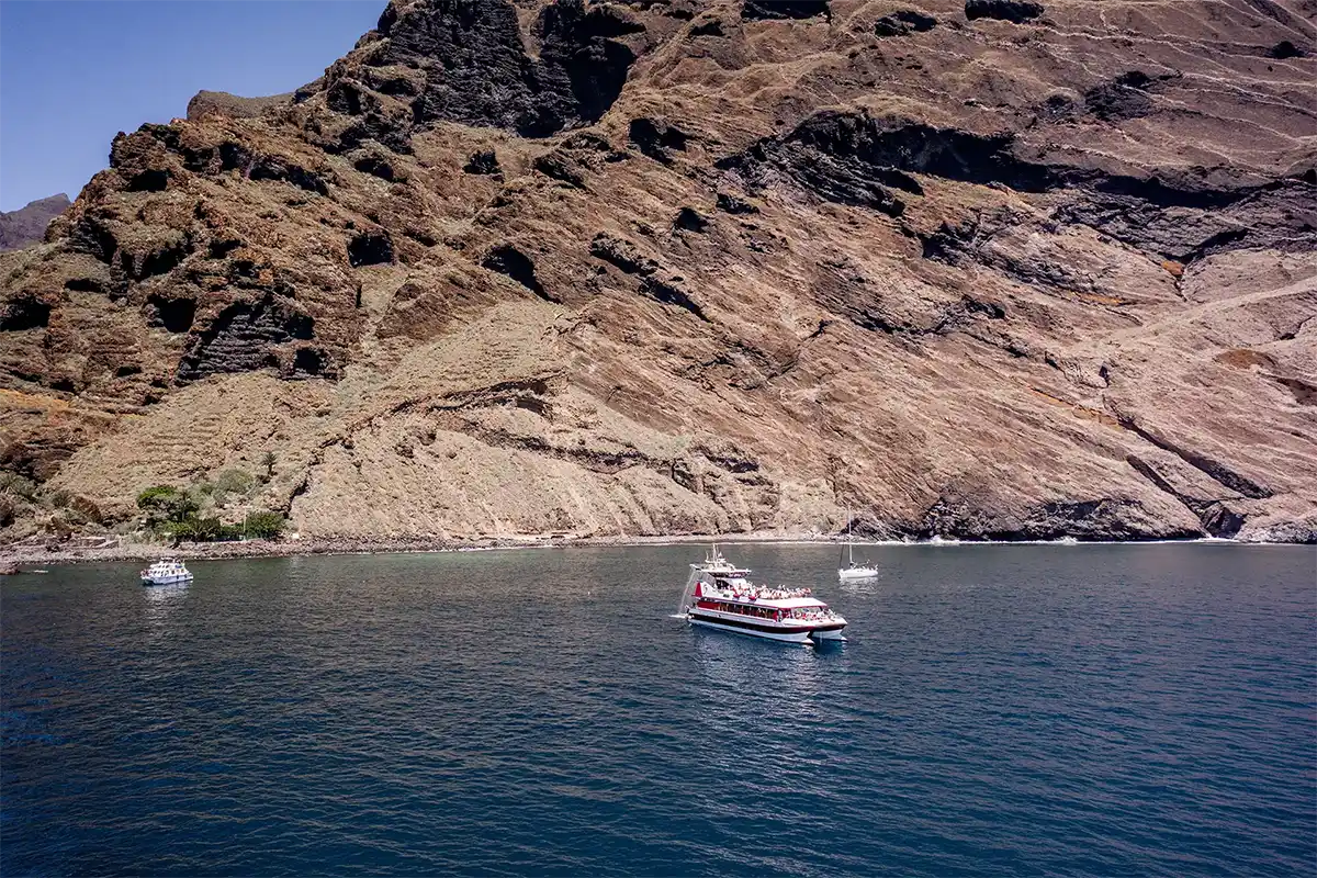 Visión Submarina a Los&nbsp;Gigantes y Masca (4,5&nbsp;Horas) - Foto 11