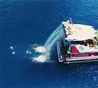 Miniatura 12 - Visión Submarina a Los&nbsp;Gigantes y Masca (4,5&nbsp;Horas)