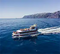 Miniatura 13 - Visión Submarina a Los&nbsp;Gigantes y Masca (4,5&nbsp;Horas)