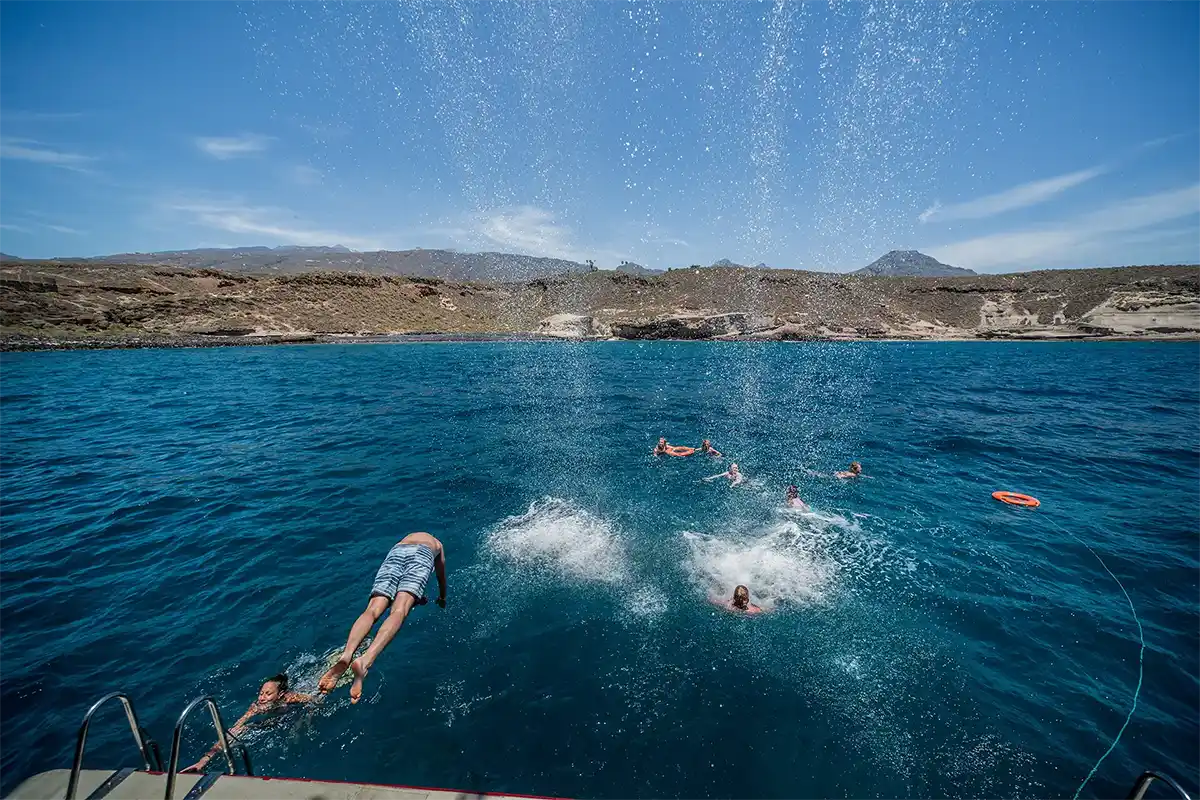 Visión Submarina a Los&nbsp;Gigantes y Masca (4,5&nbsp;Horas) - Foto 17