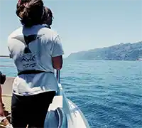 Miniatura 18 - Visión Submarina a Los&nbsp;Gigantes y Masca (4,5&nbsp;Horas)