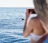 Miniatura 21 - Visión Submarina a Los&nbsp;Gigantes y Masca (4,5&nbsp;Horas)