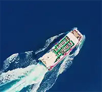 Miniatura 6 - Visión Submarina a Los&nbsp;Gigantes y Masca (4,5&nbsp;Horas)
