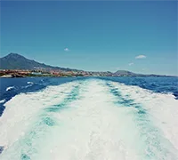 Vorschaubild 10 - Walbeobachtung mit Unterwassersicht