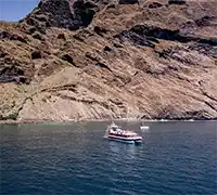Vorschaubild 13 - Walbeobachtung mit Unterwassersicht