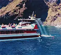 Vorschaubild 4 - Walbeobachtung mit Unterwassersicht