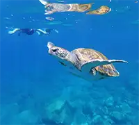 Vorschaubild 16 - Kajak-Abenteuer in Los&nbsp;Cristianos
