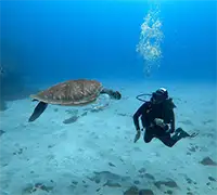 Vorschaubild 19 - Kajak-Abenteuer in Los&nbsp;Cristianos