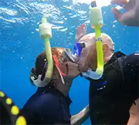 Vorschaubild 16 - Kajak- und Schnorchel-Safari in Los&nbsp;Cristianos