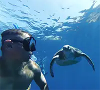 Vorschaubild 21 - Kajak- und Schnorchel-Safari in Los&nbsp;Cristianos