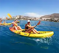 Vorschaubild 29 - Kajak- und Schnorchel-Safari in Los&nbsp;Cristianos