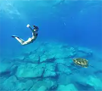 Vorschaubild 3 - Kajak- und Schnorchel-Safari in Los&nbsp;Cristianos