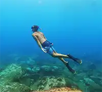 Vorschaubild 33 - Kajak- und Schnorchel-Safari in Los&nbsp;Cristianos