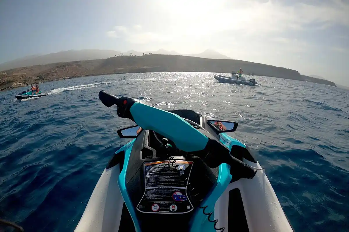 Jetski Safari (2 Stunden) im Süden Teneriffas - Foto 14