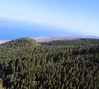 Vorschaubild 3 - Hubschrauberrundflug über Isla Baja in Teneriffa