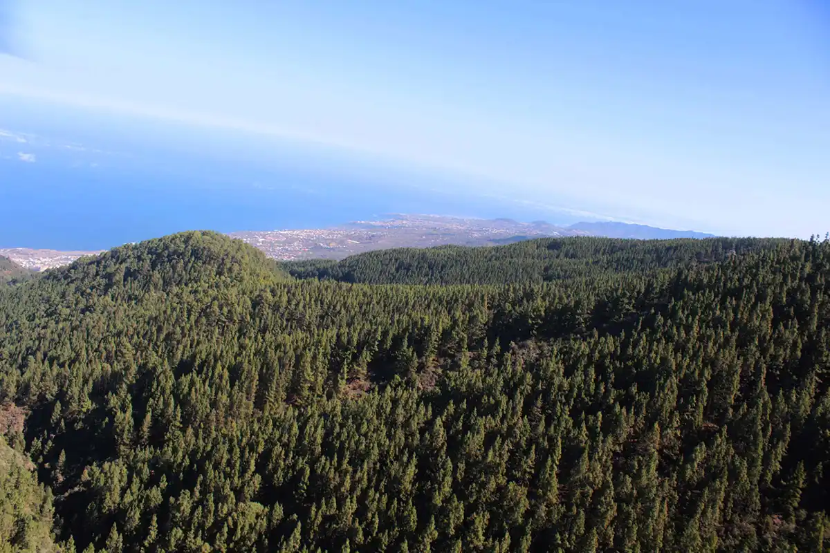 Hubschrauberrundflug über Isla Baja in Teneriffa - Foto 3