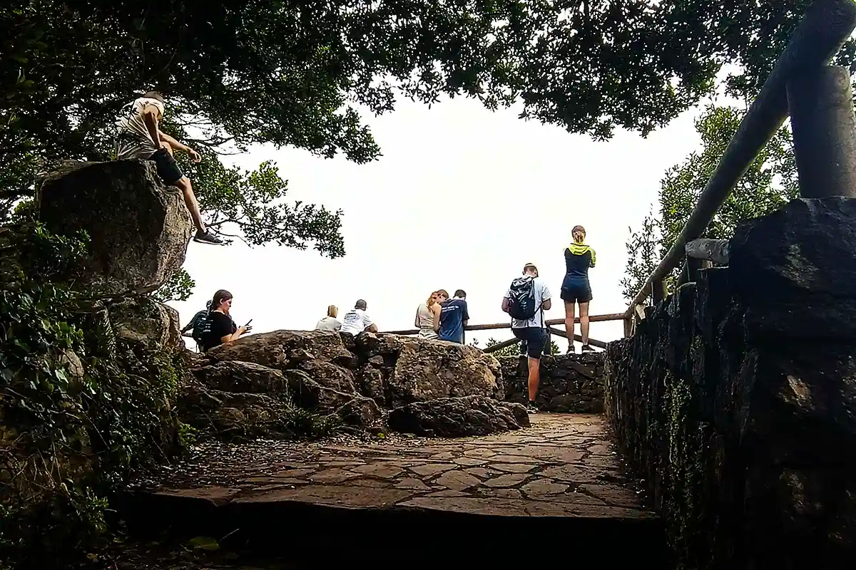 Senderismo en Anaga, Punta del Hidalgo y Cruz del Carmen - Foto 12