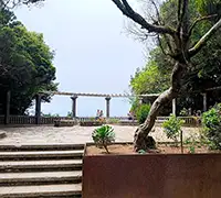 Miniatura 8 - Senderismo en Anaga, Punta del Hidalgo y Cruz del Carmen