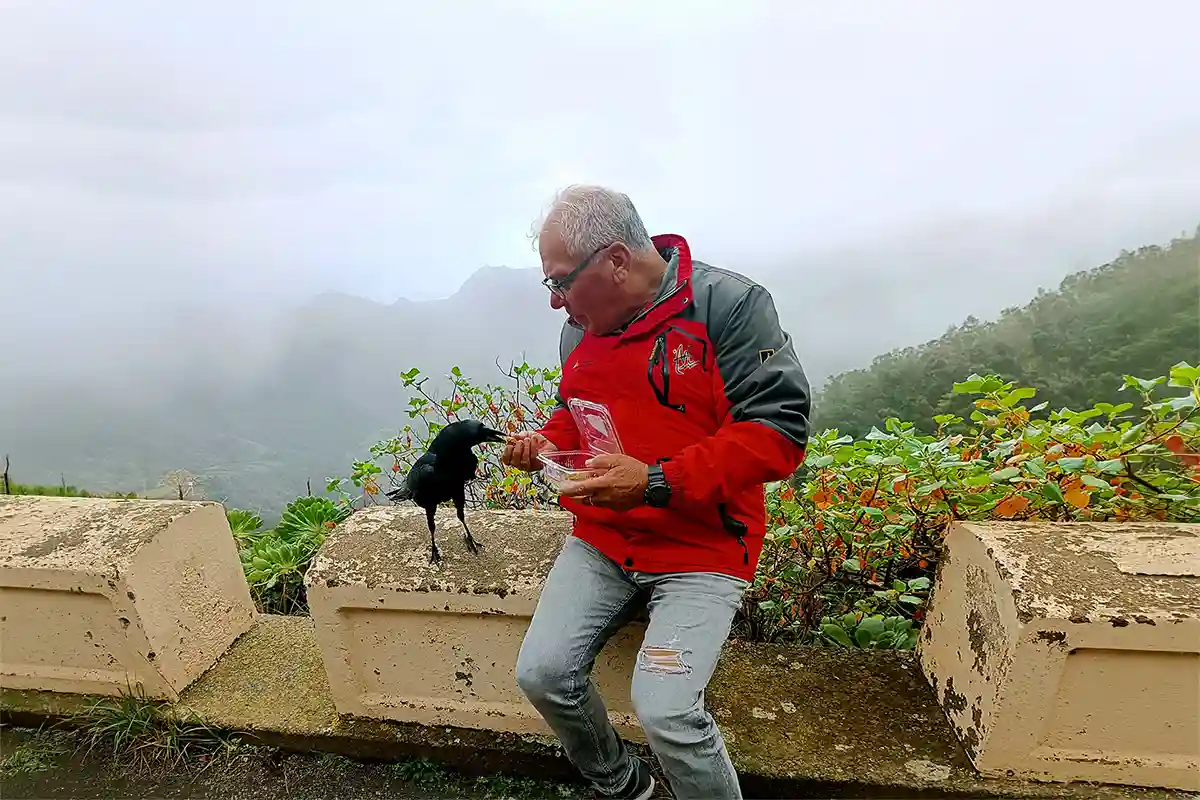 Senderismo en Anaga, Punta del Hidalgo y Cruz del Carmen - Foto 9