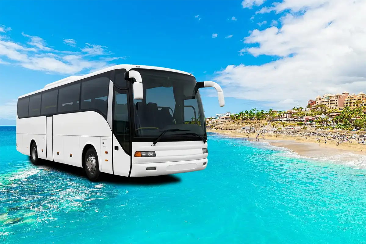 Bus vers le Sud de Tenerife depuis Puerto de la Cruz - Foto 1