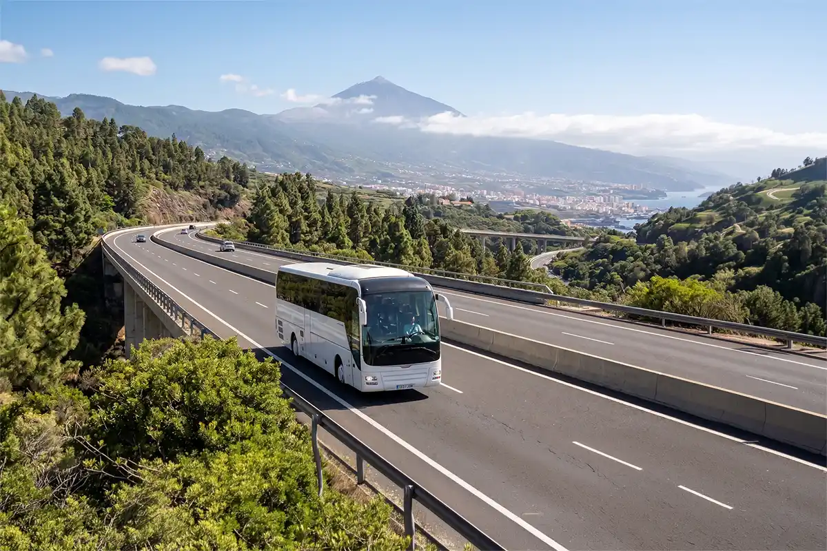 Bus vers le Sud de Tenerife depuis Puerto de la Cruz - Foto 4