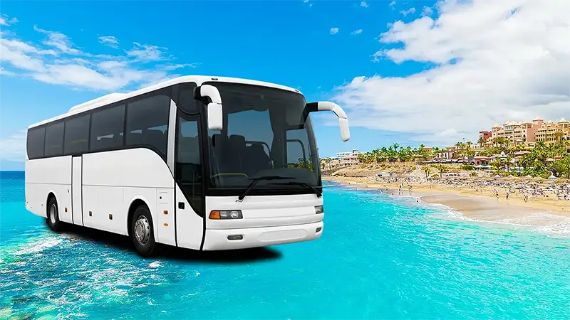 Bustransfer: Vom Norden in den Süden Teneriffas