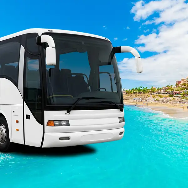 Traslado en Autobús: Norte a Sur de Tenerife
