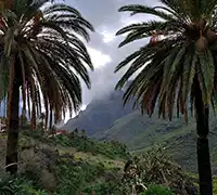 Miniature 12 - Discovery Tour : Masca, Punta de Teno et Garachico