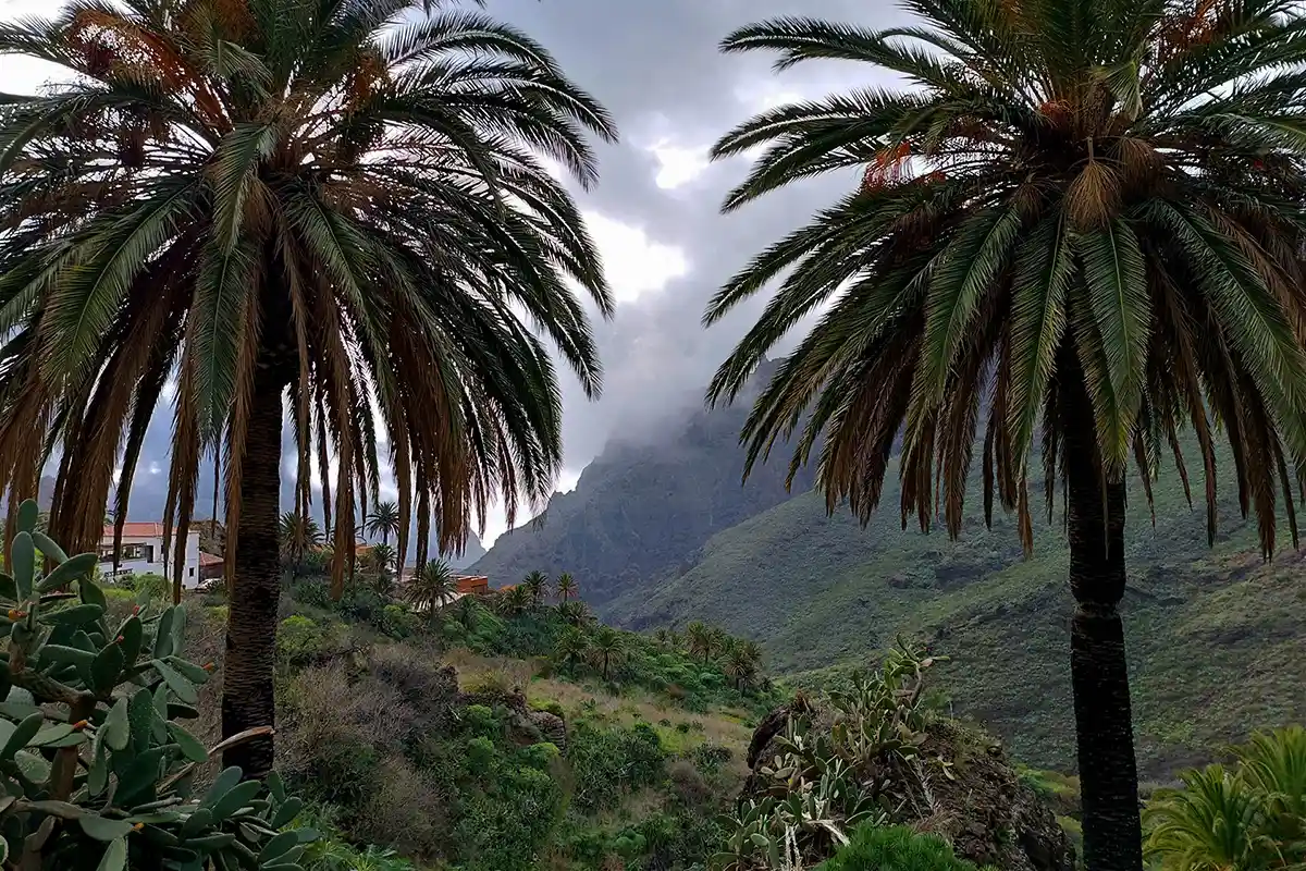 Discovery Tour : Masca, Punta de Teno et Garachico - Foto 12