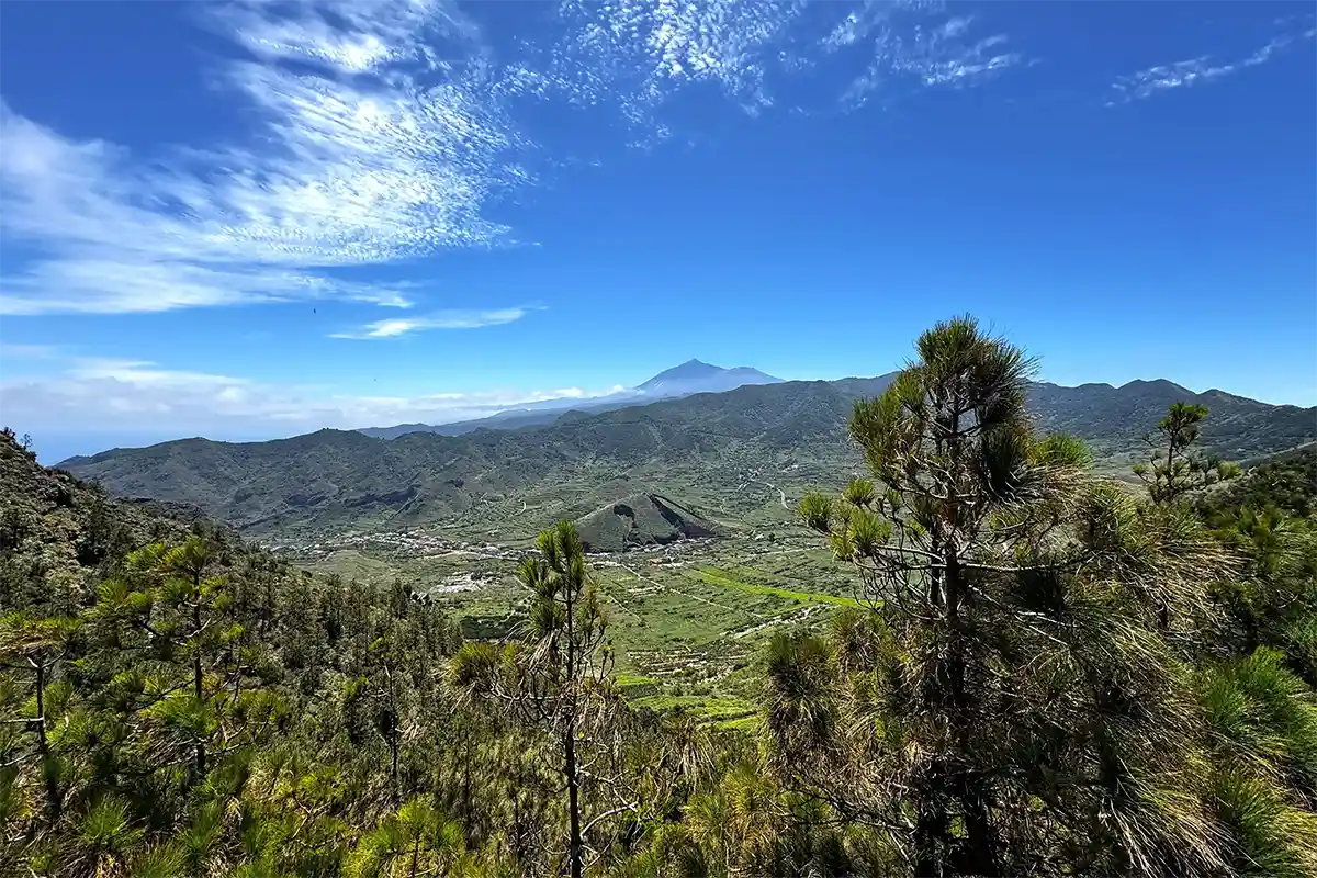 Discovery Tour : Masca, Punta de Teno et Garachico - Foto 20