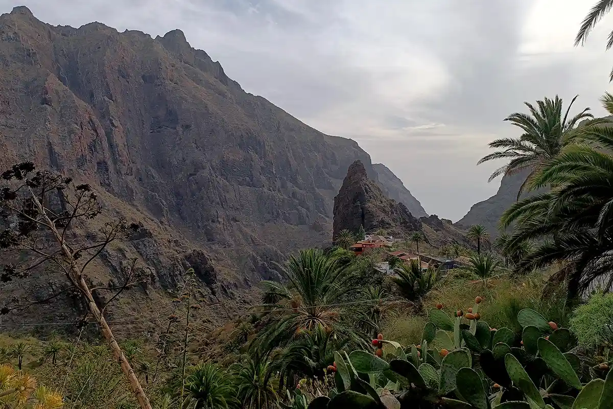 Discovery Tour : Masca, Punta de Teno et Garachico - Foto 4