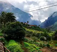 Miniature 9 - Discovery Tour : Masca, Punta de Teno et Garachico