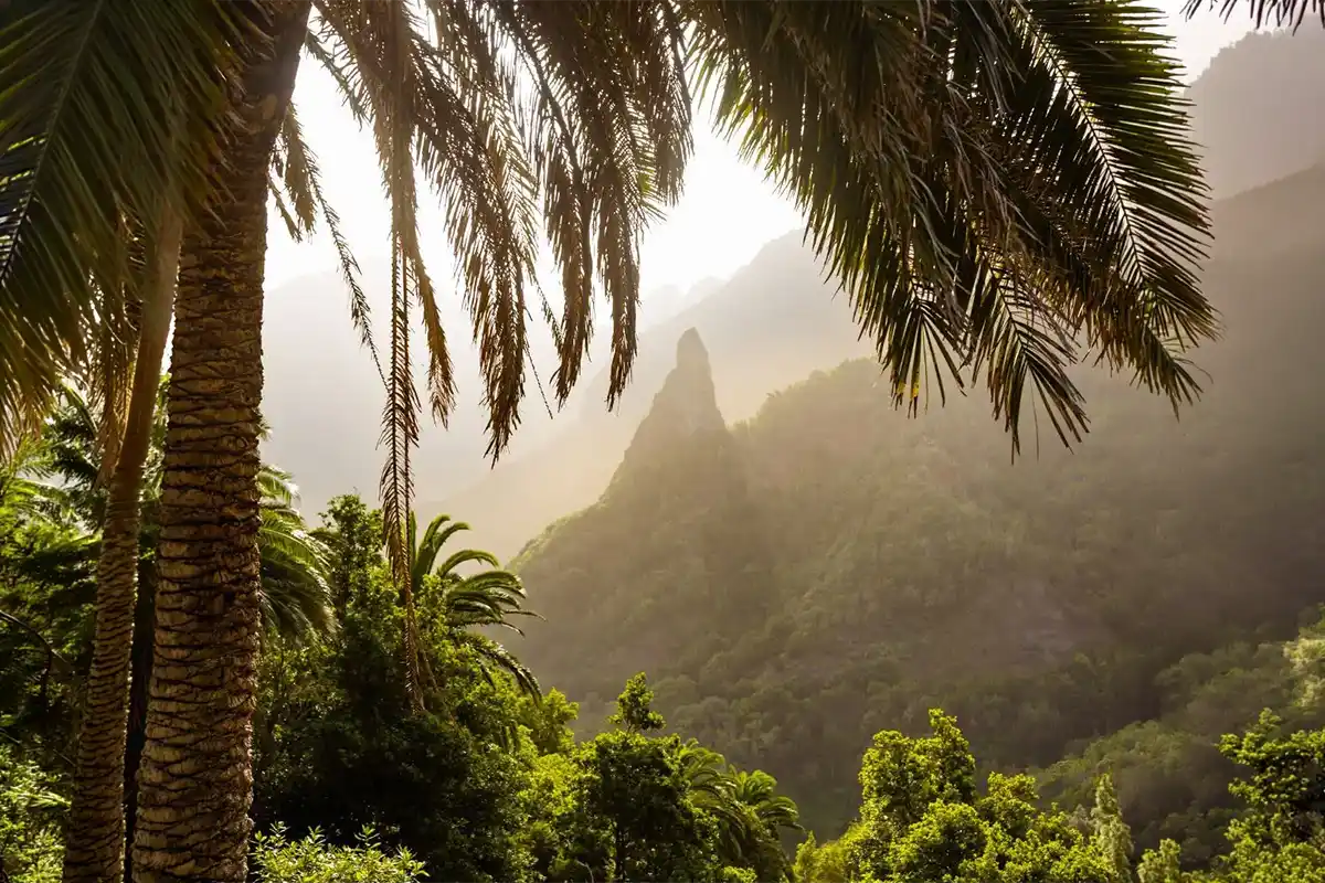 La Gomera desde Tenerife - Foto 11