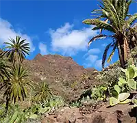 Miniatura 13 - La Gomera desde Tenerife